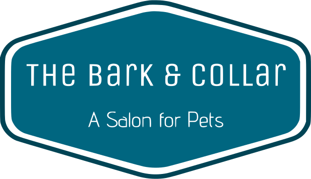 The Bark and Collar Logo